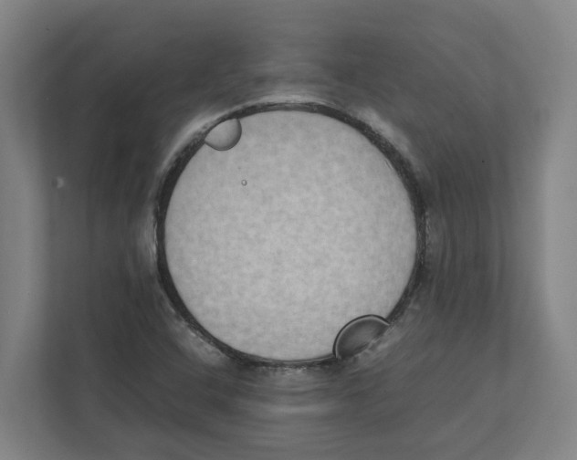 X0000111451408200908101025