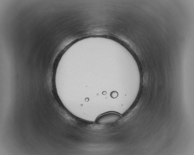 X0000111451410200908101025