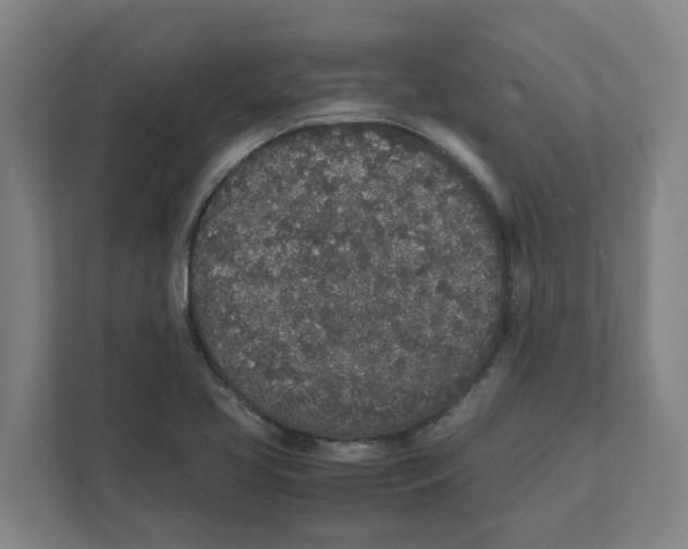 X0000111451413200908101025