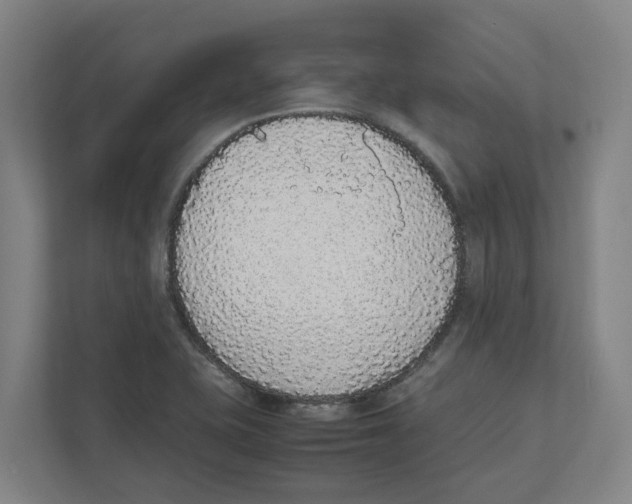 X0000111451415200908101025