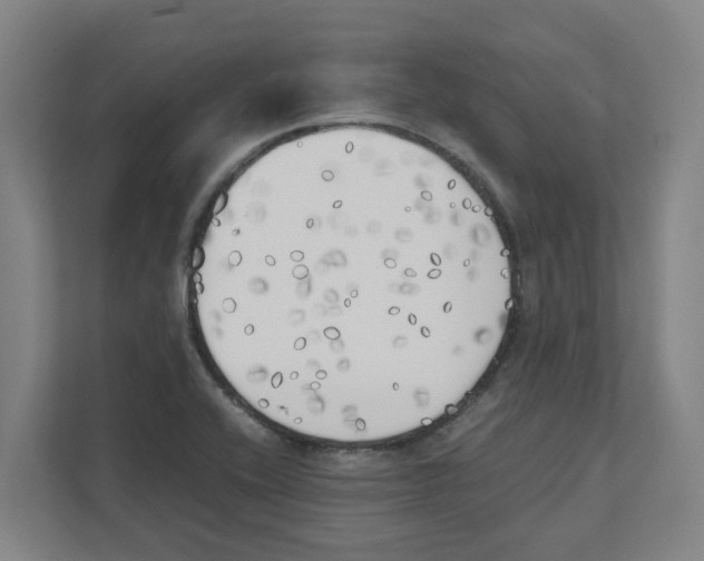 X0000111451416200908101025