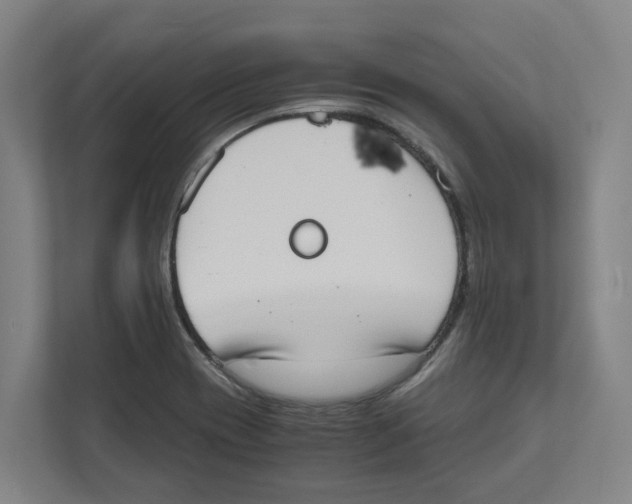 X0000111451417200908101025