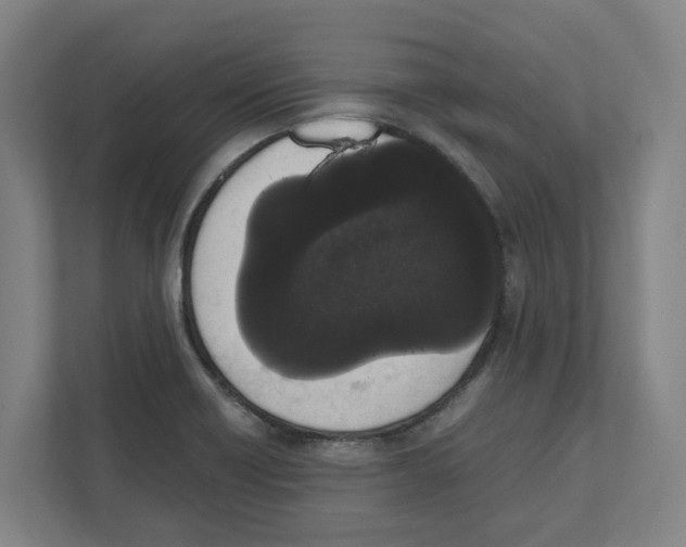 X0000111451418200908101025