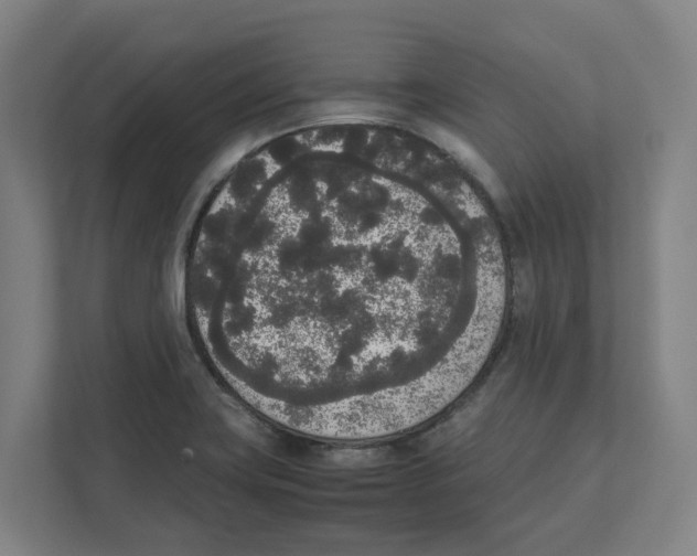X0000111451419200908101025