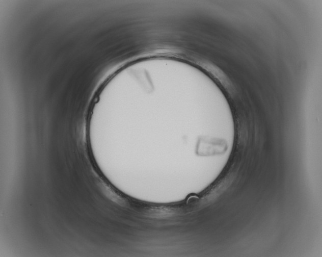 X0000111451420200908101025