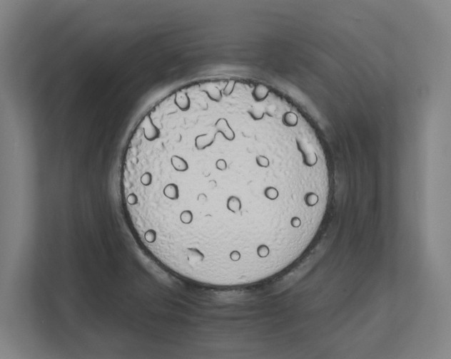 X0000111451421200908101025