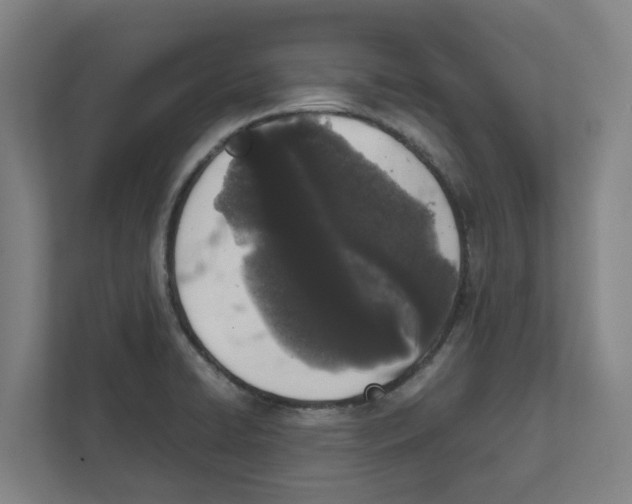 X0000111451422200908101025