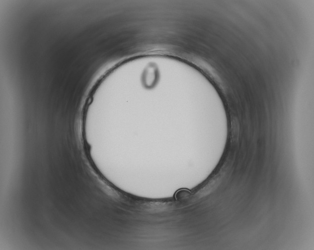 X0000111451424200908101025