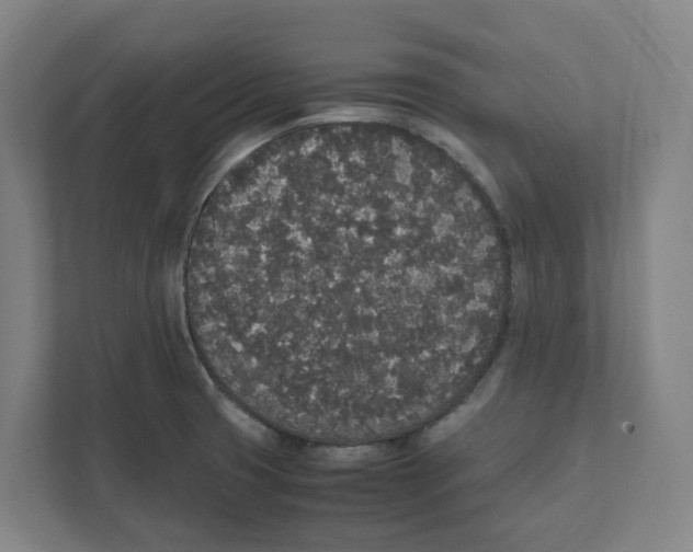 X0000111451425200908101025
