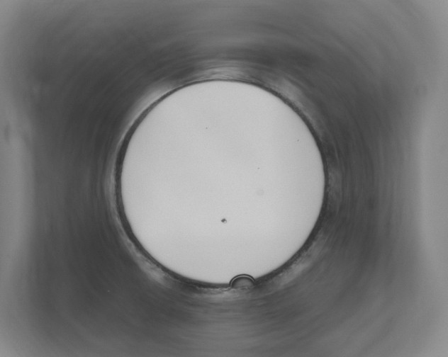 X0000111451426200908101025