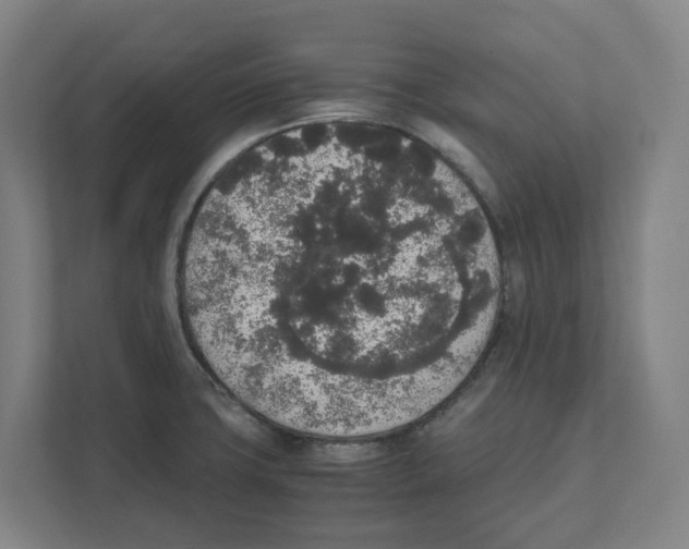 X0000111451427200908101025