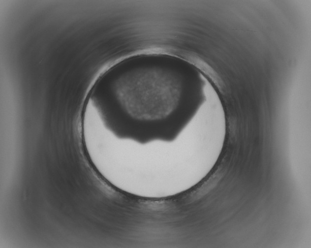 X0000111451428200908101025