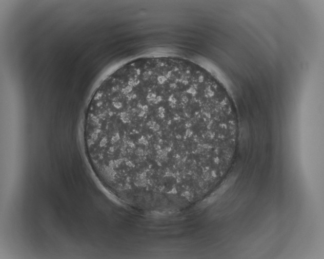 X0000111451429200908101025
