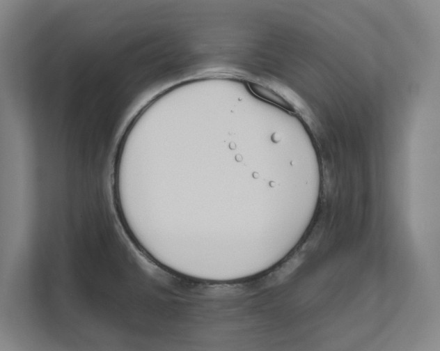 X0000111451430200908101025