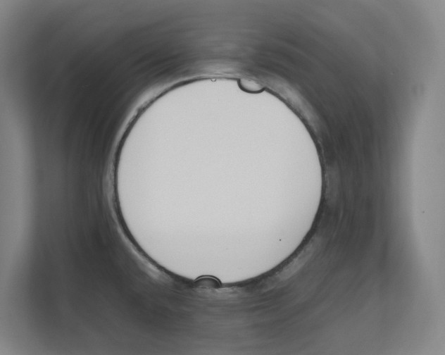 X0000111451432200908101026