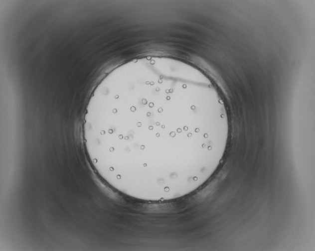 X0000111451433200908101026