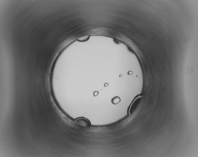 X0000111451434200908101026