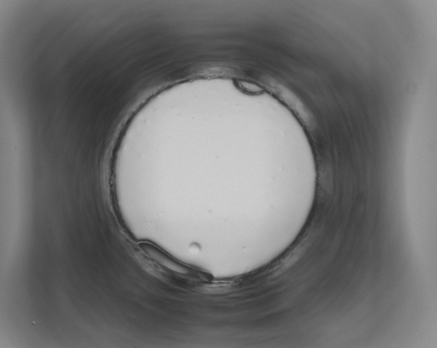 X0000111451435200908101026