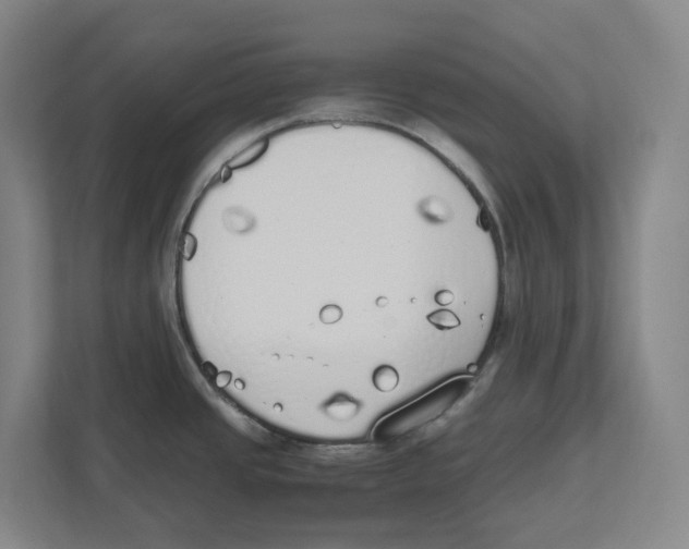 X0000111451437200908101026