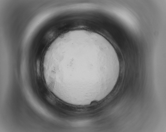 X0000111451439200908101026