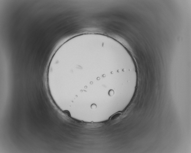 X0000111451440200908101026