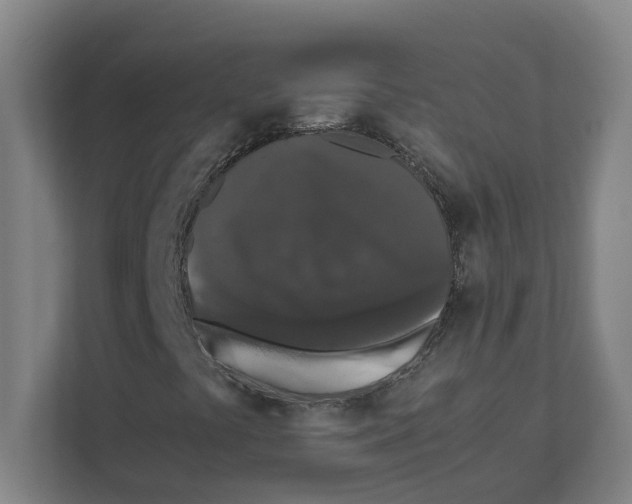 X0000111451441200908101025
