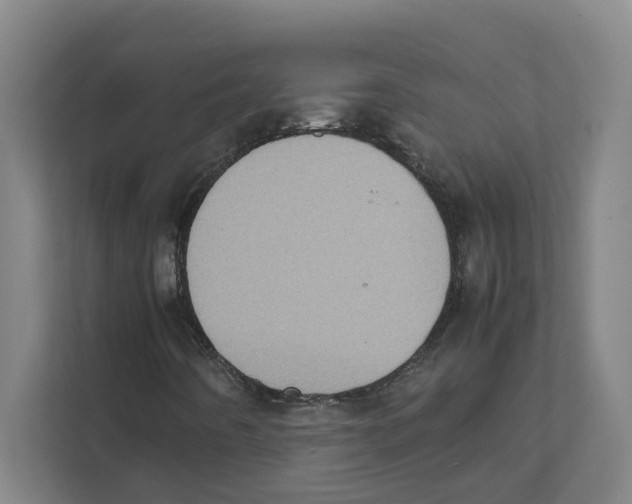 X0000111451442200908101025