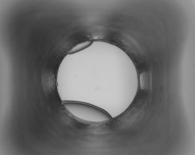 X0000111451443200908101025