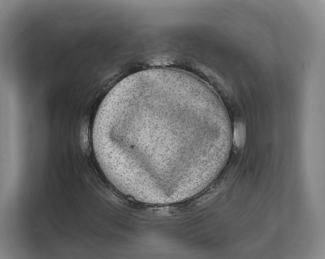 X0000111451444200908101025