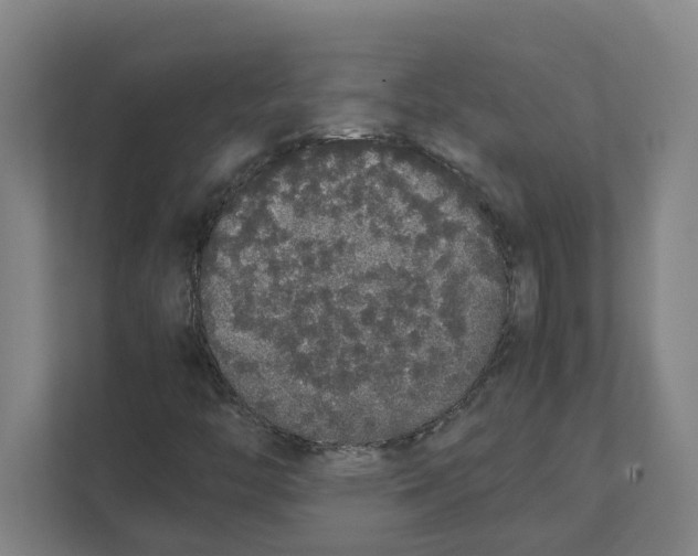X0000111451446200908101025