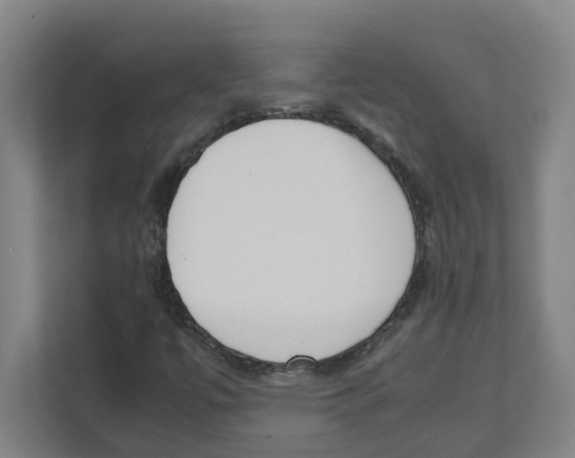 X0000111451447200908101025