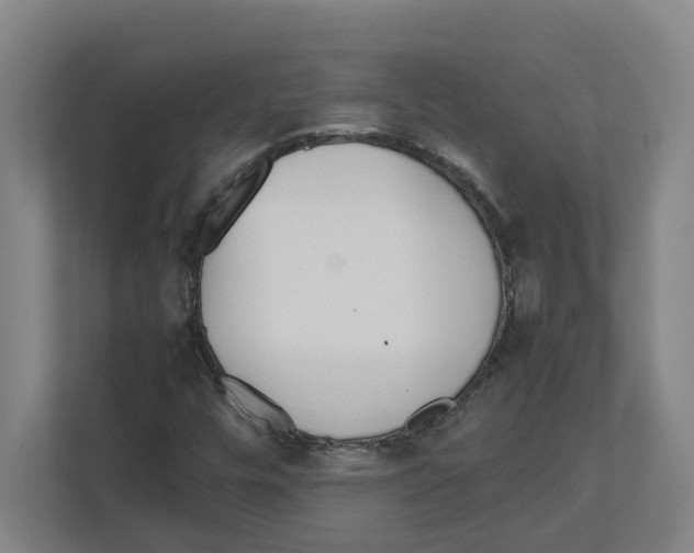 X0000111451448200908101025