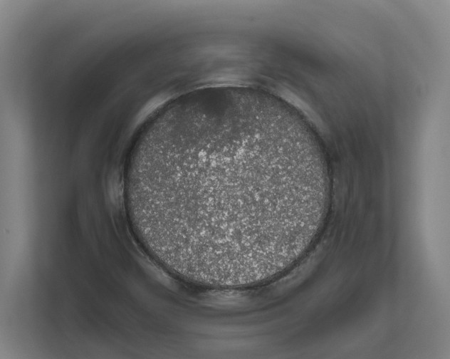 X0000111451450200908101025
