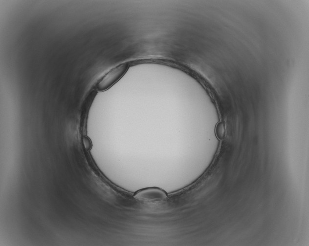 X0000111451452200908101025