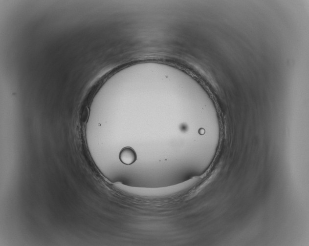 X0000111451453200908101025
