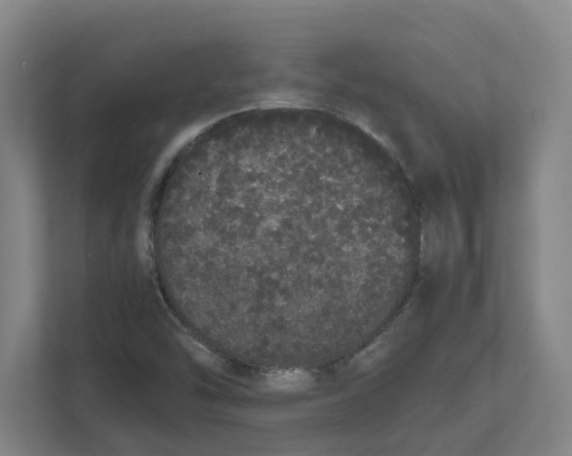 X0000111451454200908101025