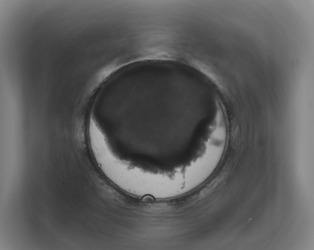 X0000111451455200908101025