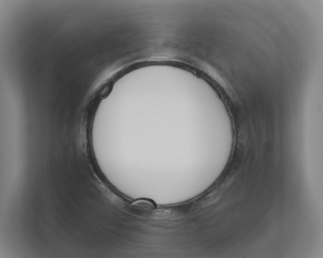 X0000111451456200908101025