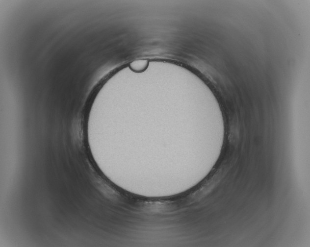X0000111451458200908101025