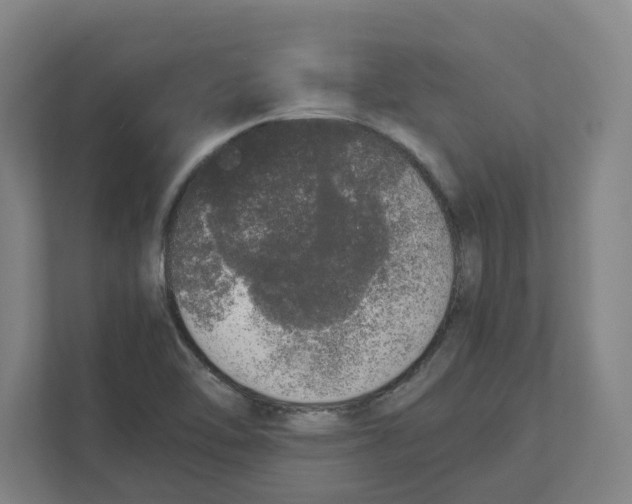 X0000111451462200908101025