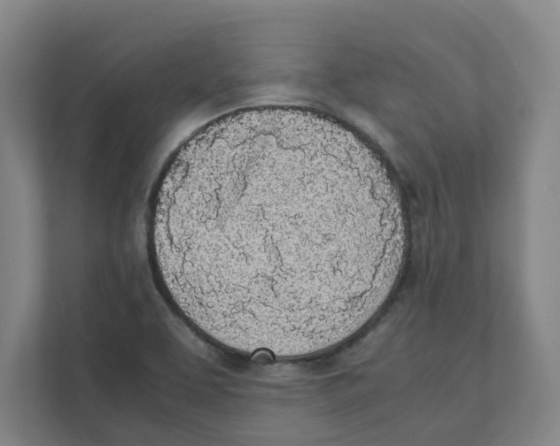 X0000111451463200908101025