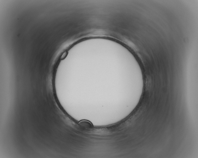 X0000111451464200908101025