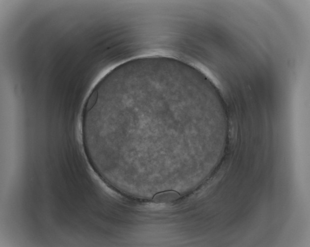 X0000111451468200908101025