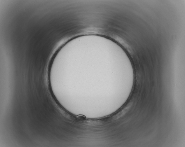 X0000111451469200908101025