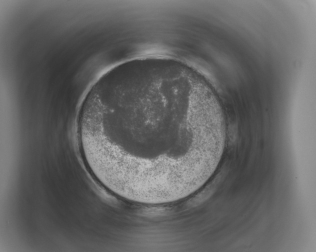 X0000111451470200908101025
