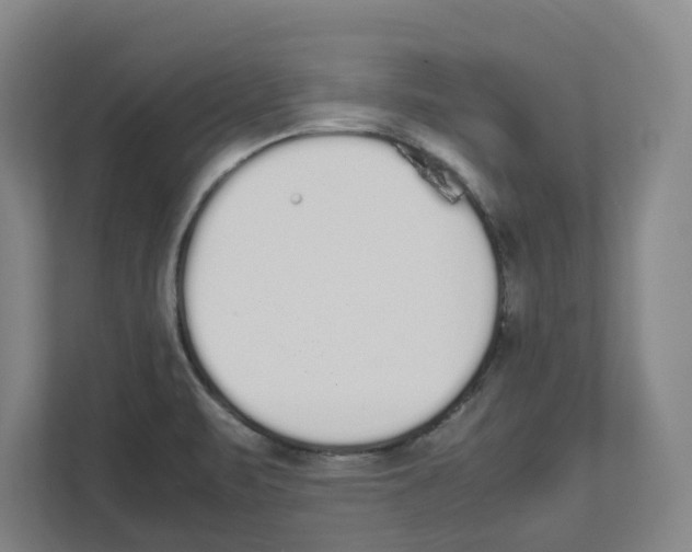 X0000111451471200908101025