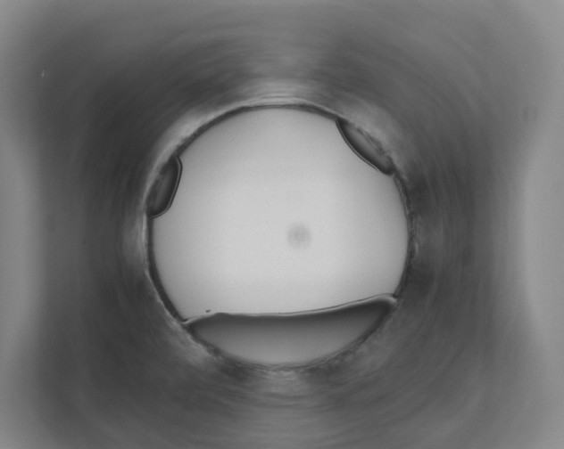 X0000111451472200908101025