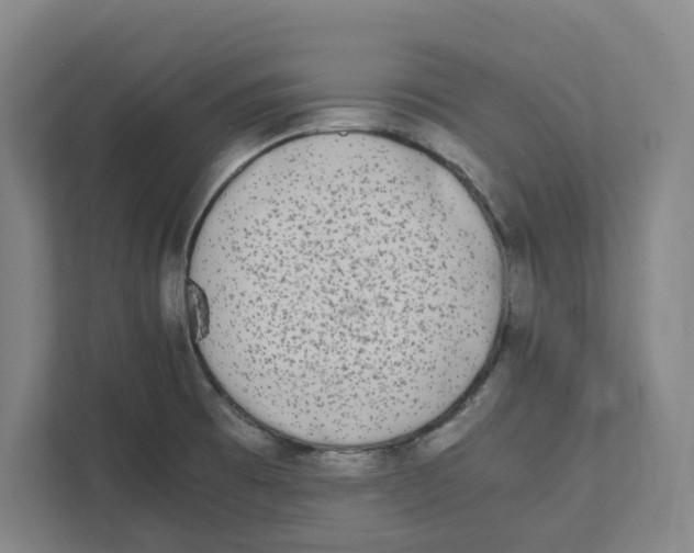 X0000111451473200908101025
