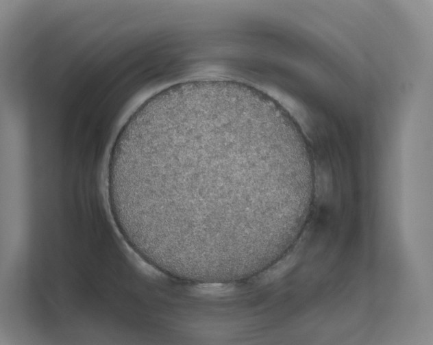 X0000111451478200908101025