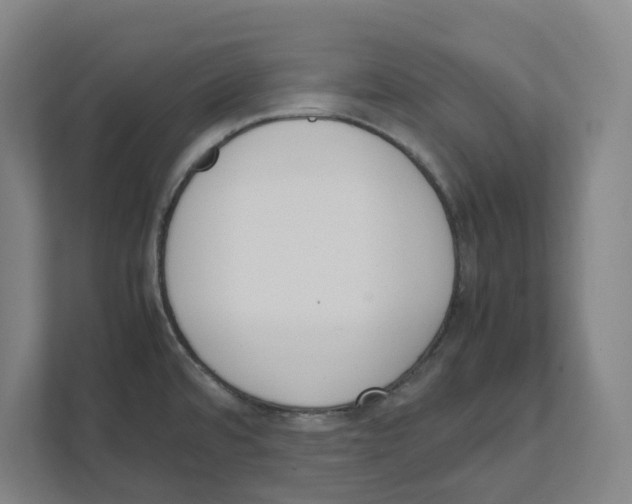X0000111451480200908101024